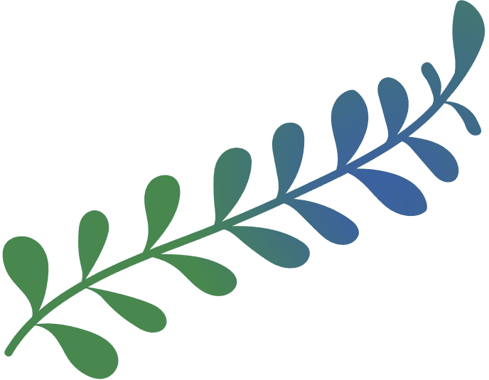 Long Leaf KIRI